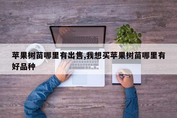 苹果树苗哪里有出售,我想买苹果树苗哪里有好品种