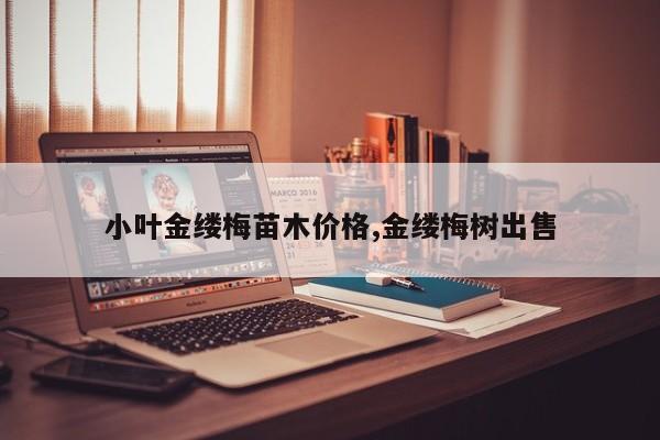 小叶金缕梅苗木价格,金缕梅树出售