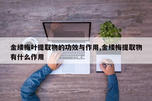 金缕梅叶提取物的功效与作用,金缕梅提取物有什么作用