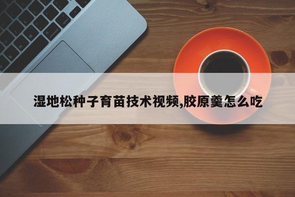 湿地松种子育苗技术视频,胶原羹怎么吃
