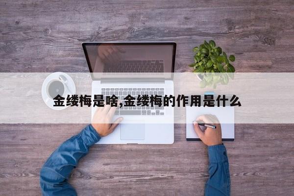 金缕梅是啥,金缕梅的作用是什么