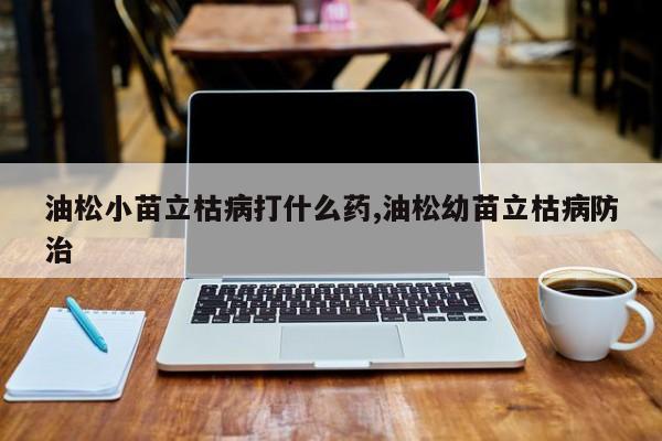 油松小苗立枯病打什么药,油松幼苗立枯病防治