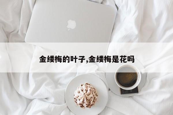 金缕梅的叶子,金缕梅是花吗