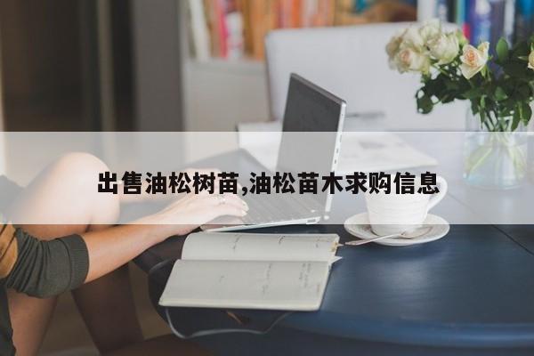 出售油松树苗,油松苗木求购信息