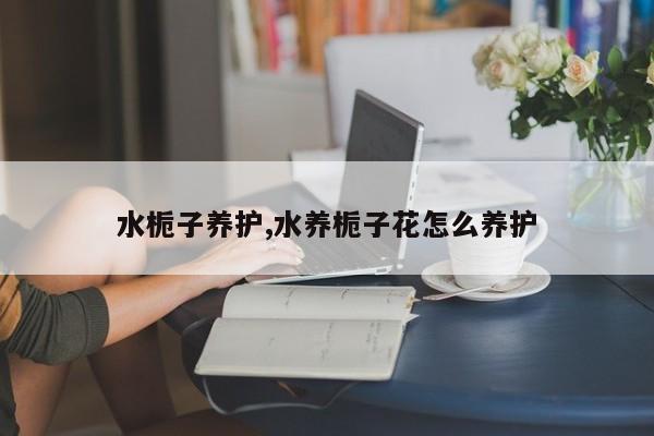 水栀子养护,水养栀子花怎么养护