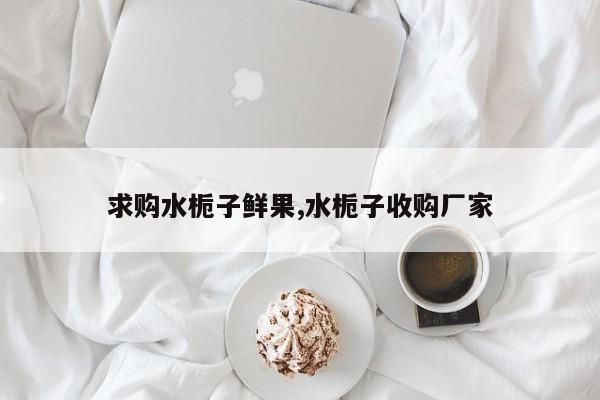 求购水栀子鲜果,水栀子收购厂家
