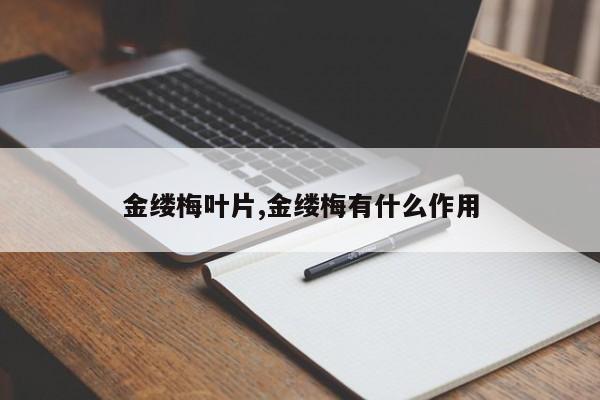 金缕梅叶片,金缕梅有什么作用